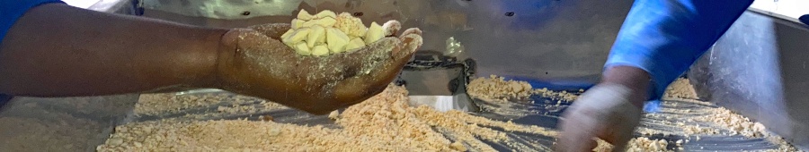 baobabfruitimg_3261.jpg