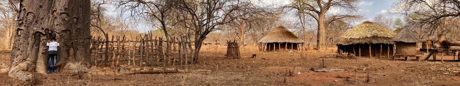 baobabhumanimg_3131.jpg