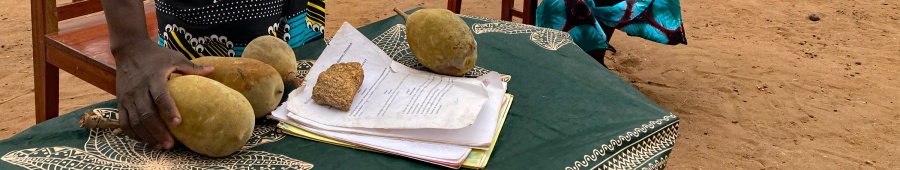 baobabimg_2973.jpg