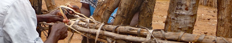 manicap1050302.jpg