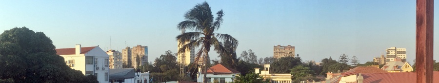 mpm-img_0519.jpg