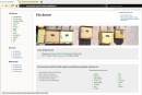 Project & File Server
