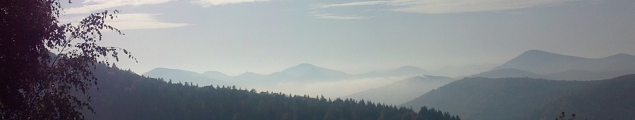 mountainview.jpg